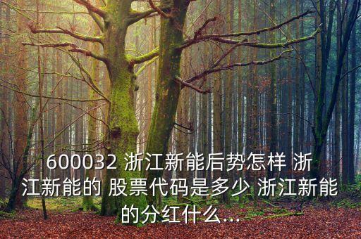 600032 浙江新能后勢怎樣 浙江新能的 股票代碼是多少 浙江新能的分紅什么...