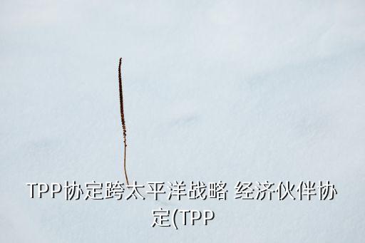 TPP協(xié)定跨太平洋戰(zhàn)略 經(jīng)濟伙伴協(xié)定(TPP