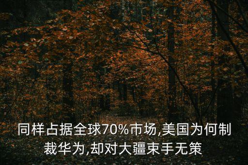 同樣占據(jù)全球70%市場,美國為何制裁華為,卻對大疆束手無策