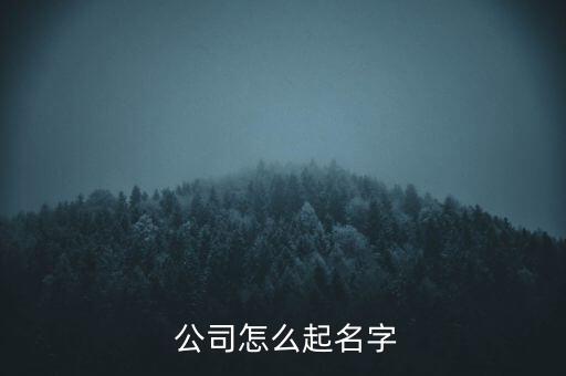  公司怎么起名字