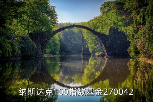 廣發(fā)納斯達(dá)克100指數(shù)基金270042