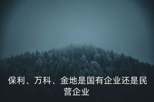  保利、萬科、金地是國有企業(yè)還是民營企業(yè)