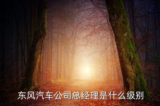 東風集團是央企嗎,永不倒閉的10大央企