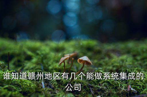 誰知道贛州地區(qū)有幾個(gè)能做系統(tǒng)集成的公司