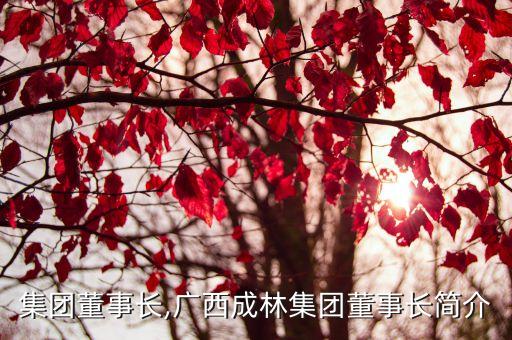 成林集團(tuán)董事長(zhǎng),廣西成林集團(tuán)董事長(zhǎng)簡(jiǎn)介