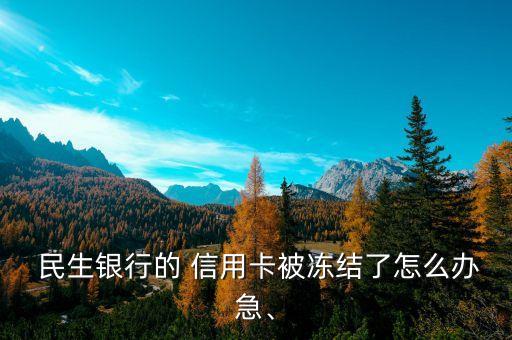  民生銀行的 信用卡被凍結(jié)了怎么辦急、