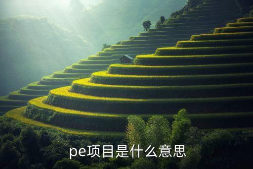  pe項(xiàng)目是什么意思