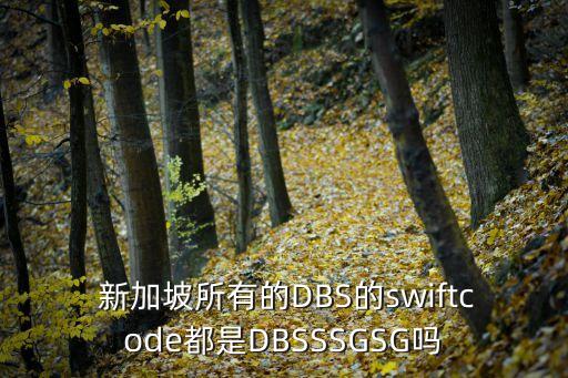  新加坡所有的DBS的swiftcode都是DBSSSGSG嗎