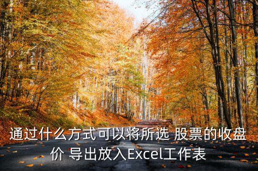 通過(guò)什么方式可以將所選 股票的收盤價(jià) 導(dǎo)出放入Excel工作表