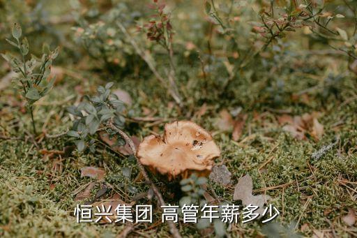 恒興集團(tuán) 高管年薪多少