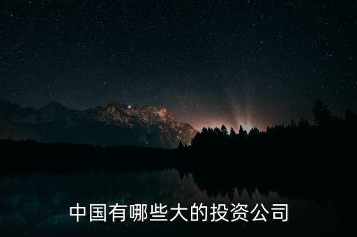 中國有哪些大的投資公司