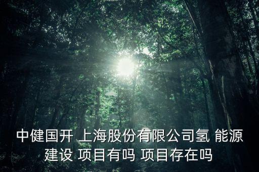 中健國開 上海股份有限公司氫 能源建設(shè) 項目有嗎 項目存在嗎