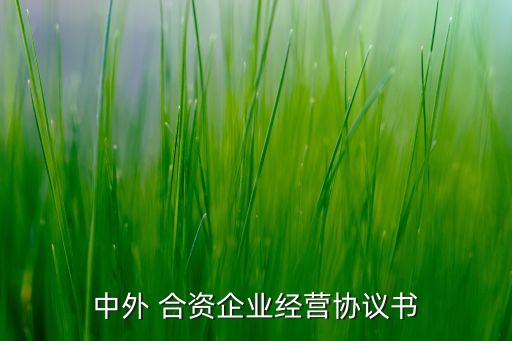 中外 合資企業(yè)經(jīng)營(yíng)協(xié)議書