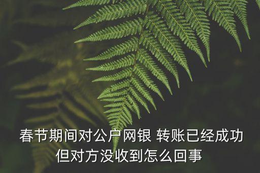  春節(jié)期間對公戶網(wǎng)銀 轉(zhuǎn)賬已經(jīng)成功但對方?jīng)]收到怎么回事