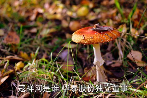 山東華泰生物科技有限公司,華泰生物科技有限公司怎么樣