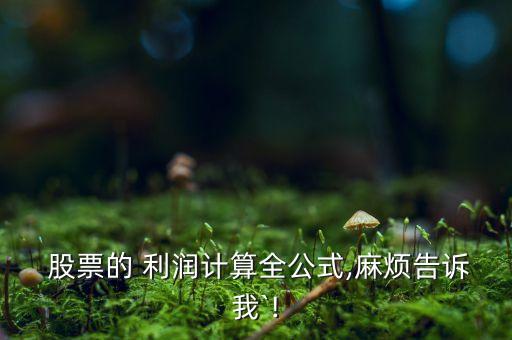  股票的 利潤計(jì)算全公式,麻煩告訴我`!