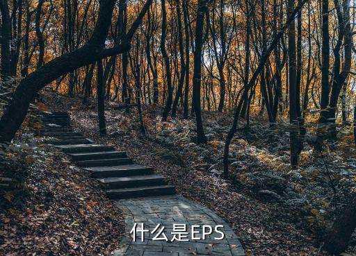 什么是EPS