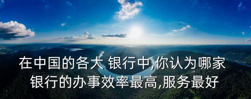 在中國(guó)的各大 銀行中,你認(rèn)為哪家 銀行的辦事效率最高,服務(wù)最好