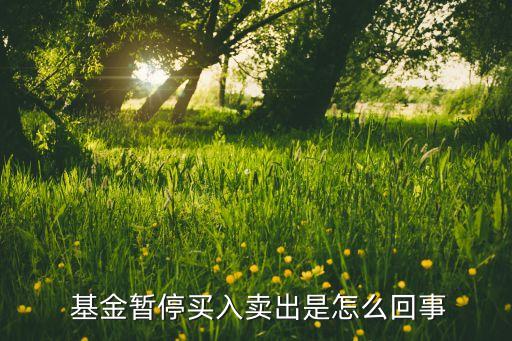  基金暫停買(mǎi)入賣(mài)出是怎么回事