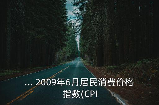 ... 2009年6月居民消費(fèi)價格 指數(shù)(CPI