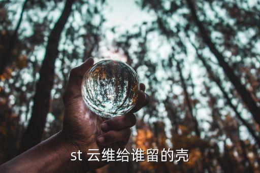 st 云維給誰留的殼