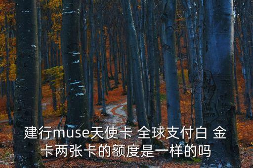 建行muse天使卡 全球支付白 金卡兩張卡的額度是一樣的嗎