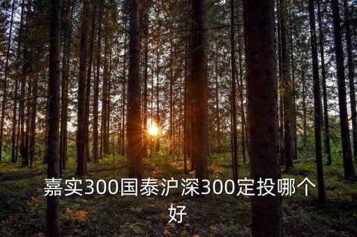  嘉實(shí)300國(guó)泰滬深300定投哪個(gè)好