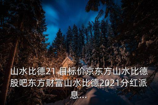 山水比德21 目標(biāo)價京東方山水比德股吧東方財(cái)富山水比德2021分紅派息...