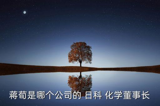 蔣荀是哪個(gè)公司的 日科 化學(xué)董事長