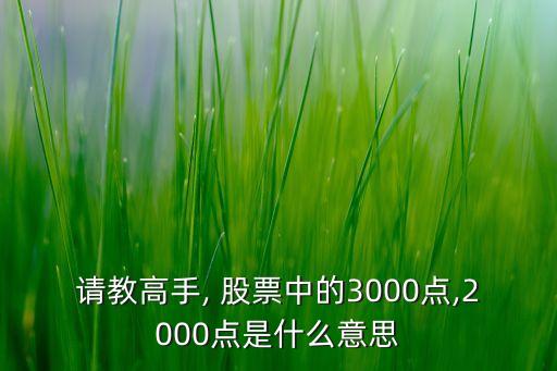 請教高手, 股票中的3000點(diǎn),2000點(diǎn)是什么意思