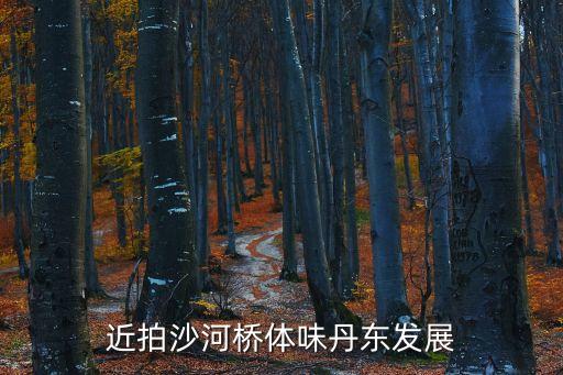 近拍沙河橋體味丹東發(fā)展