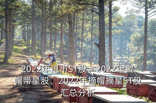 2022年退市ST股、2022年戴帽帶星股、2022年摘帽摘星ST股匯總分析