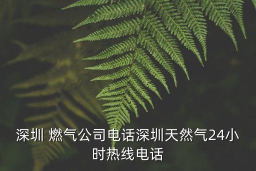 深圳 燃氣公司電話深圳天然氣24小時熱線電話