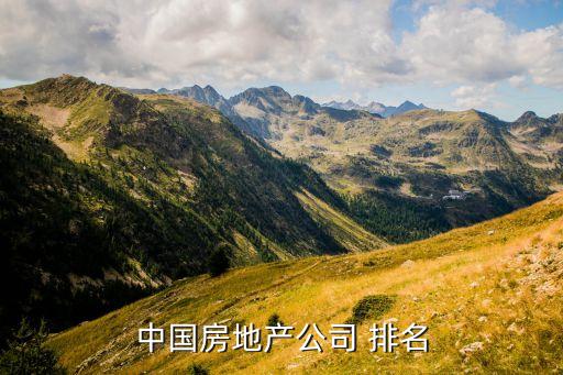 中國(guó)房地產(chǎn)公司 排名