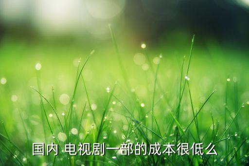 國內(nèi) 電視劇一部的成本很低么