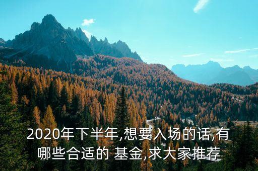 2020年下半年,想要入場的話,有哪些合適的 基金,求大家推薦