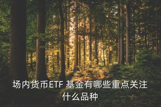 場內(nèi)貨幣ETF 基金有哪些重點關(guān)注什么品種