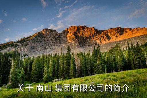 南山集團東海氧化鋁待遇怎樣,龍口東海氧化鋁有限公司待遇