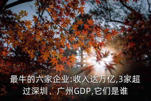 最牛的六家企業(yè):收入達(dá)萬億,3家超過深圳、廣州GDP,它們是誰