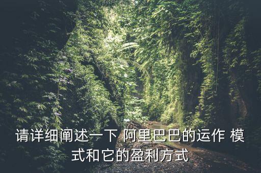 請(qǐng)?jiān)敿?xì)闡述一下 阿里巴巴的運(yùn)作 模式和它的盈利方式