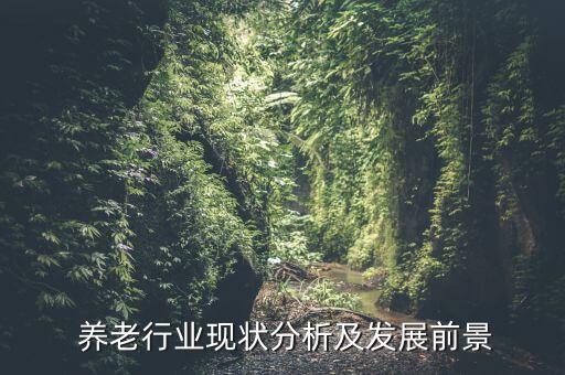  養(yǎng)老行業(yè)現(xiàn)狀分析及發(fā)展前景