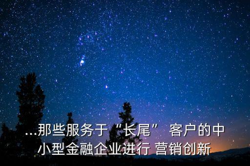 ...那些服務(wù)于“長(zhǎng)尾” 客戶的中小型金融企業(yè)進(jìn)行 營(yíng)銷創(chuàng)新