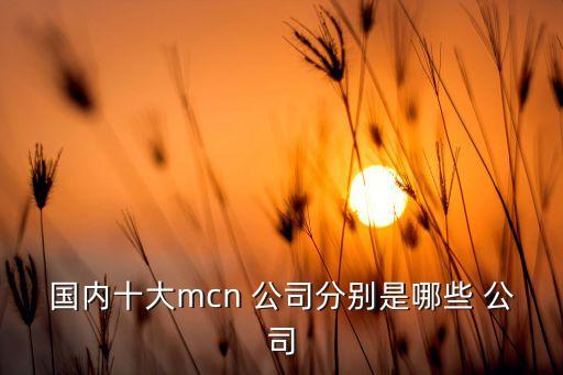 國內(nèi)十大mcn 公司分別是哪些 公司