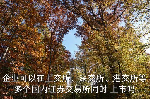 企業(yè)可以在上交所、深交所、港交所等多個(gè)國(guó)內(nèi)證券交易所同時(shí) 上市嗎