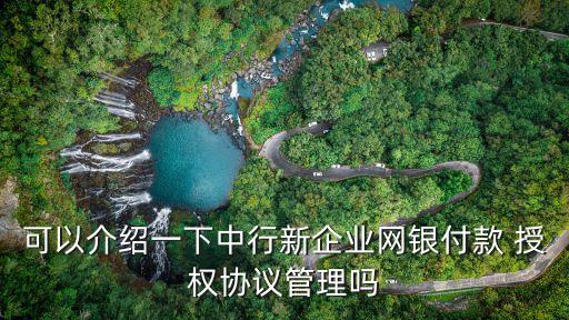 可以介紹一下中行新企業(yè)網(wǎng)銀付款 授權(quán)協(xié)議管理嗎