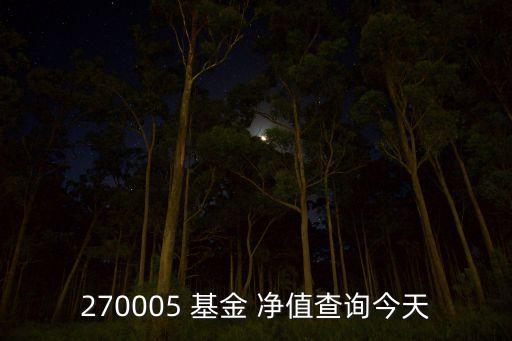 270005 基金 凈值查詢今天