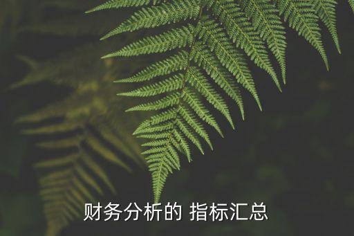 財(cái)務(wù)分析的 指標(biāo)匯總