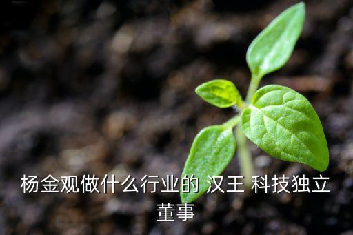 楊金觀做什么行業(yè)的 漢王 科技獨(dú)立董事