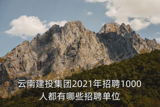 云南建投集團2021年招聘1000人都有哪些招聘單位