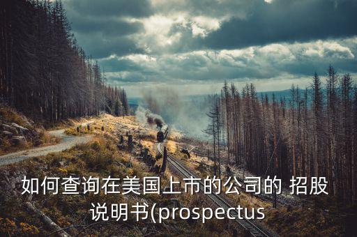 如何查詢在美國上市的公司的 招股 說明書(prospectus